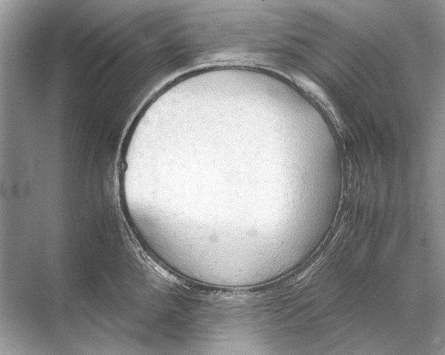 X0000067831288200605041614