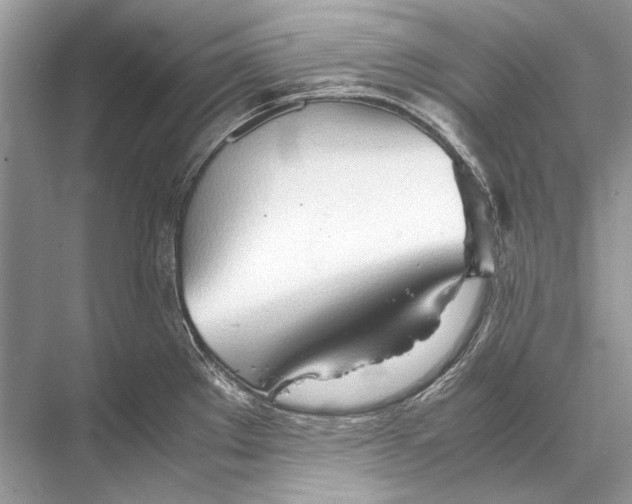 X0000067831289200605041614