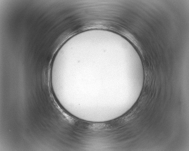 X0000067831290200605041614