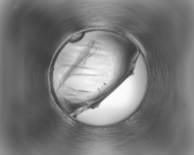 X0000067831291200605041614