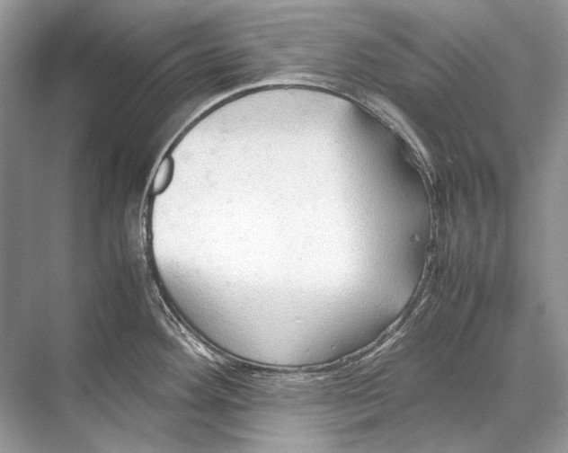 X0000067831292200605041614