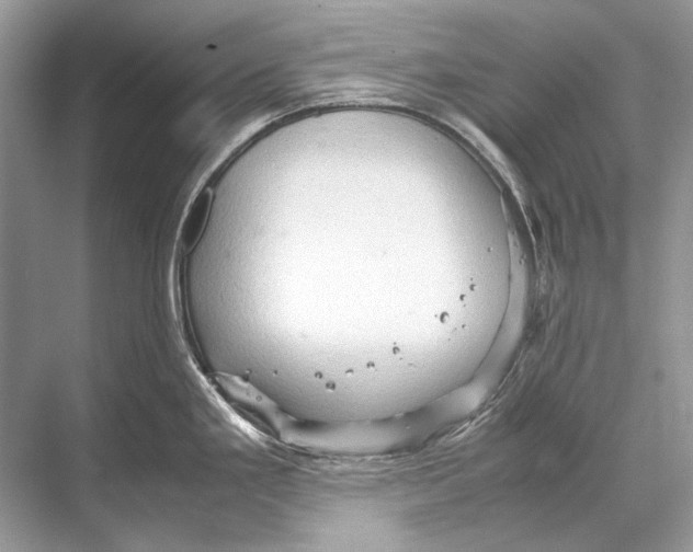 X0000067831293200605041614