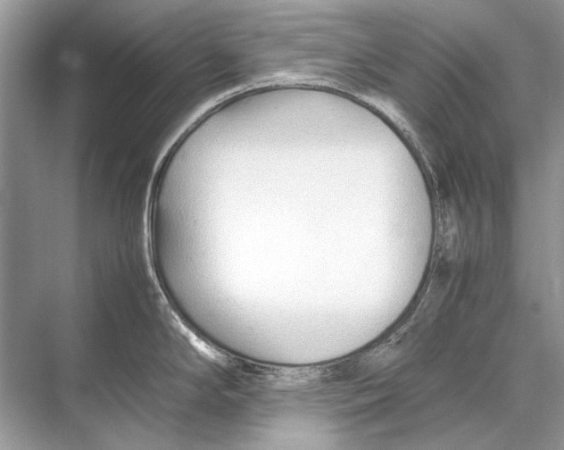 X0000067831294200605041614