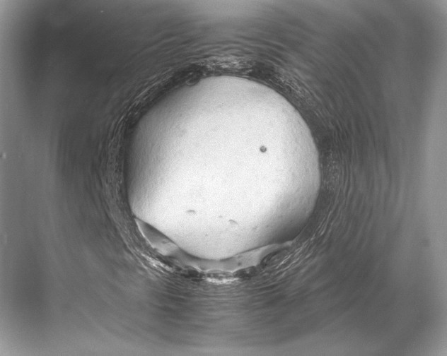 X0000067831297200605041613