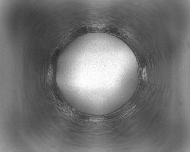 X0000067831299200605041613