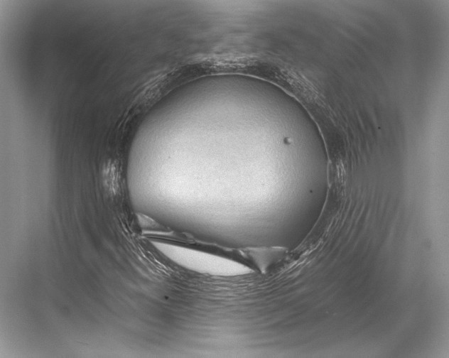 X0000067831300200605041613