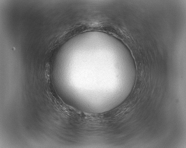 X0000067831301200605041613