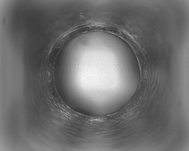 X0000067831303200605041613