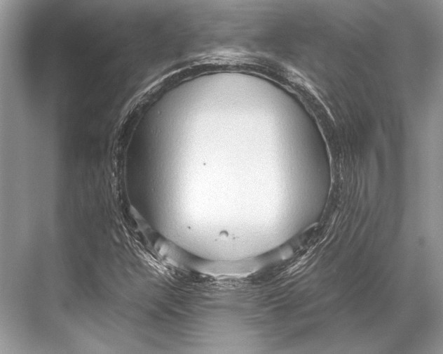 X0000067831304200605041613