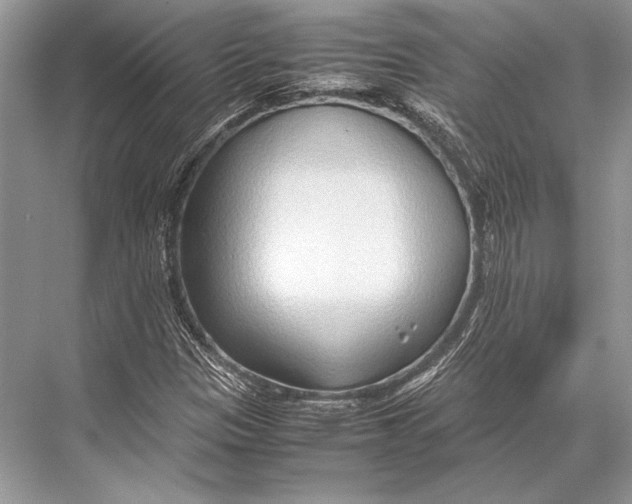 X0000067831305200605041613