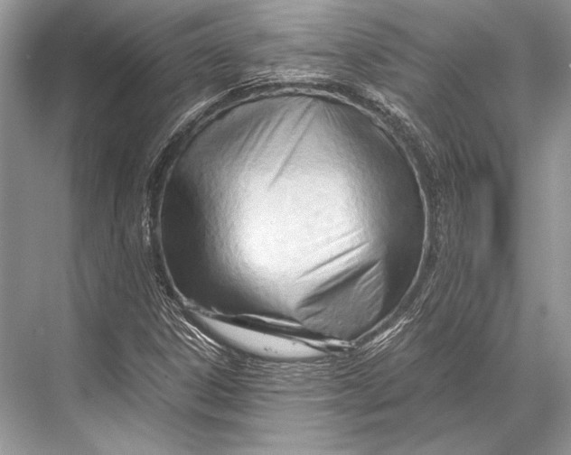 X0000067831306200605041613