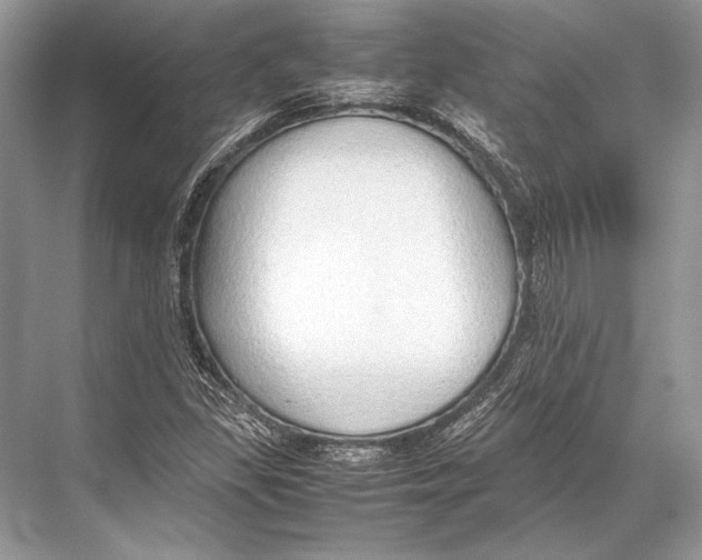 X0000067831309200605041613