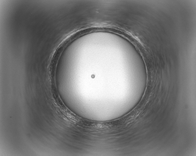 X0000067831311200605041613