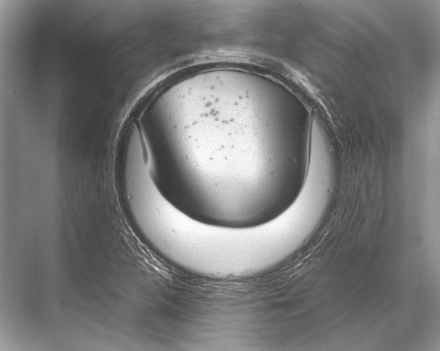 X0000067831312200605041613