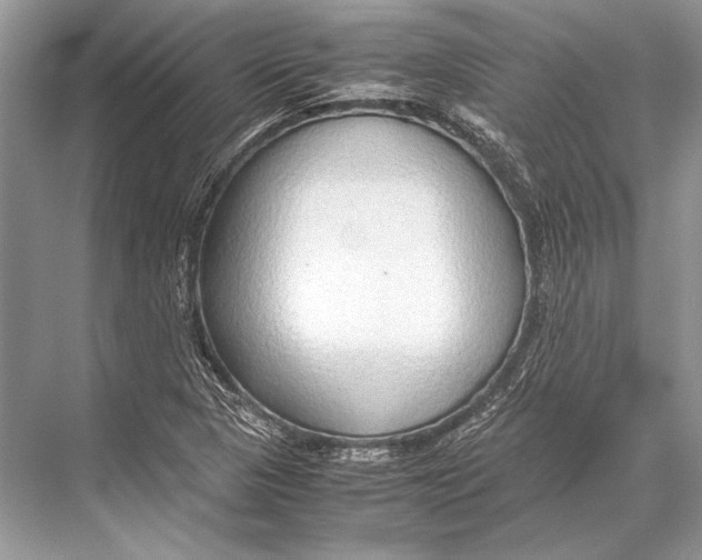 X0000067831313200605041613