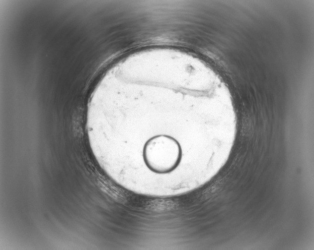 X0000067831314200605041613