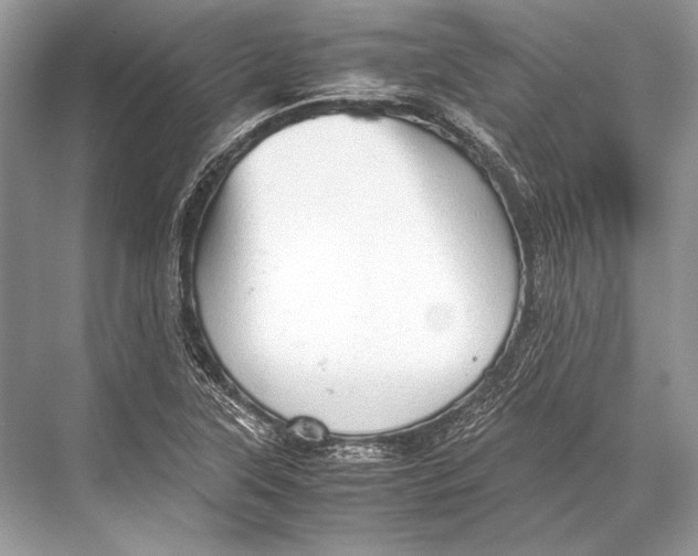 X0000067831315200605041613