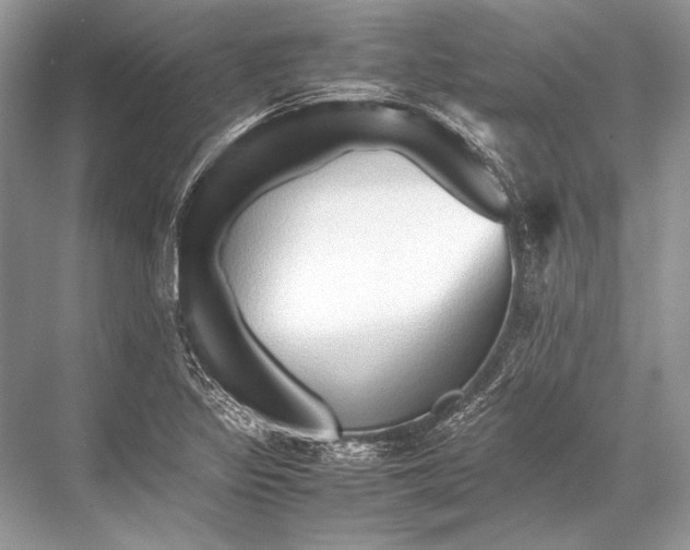 X0000067831317200605041613