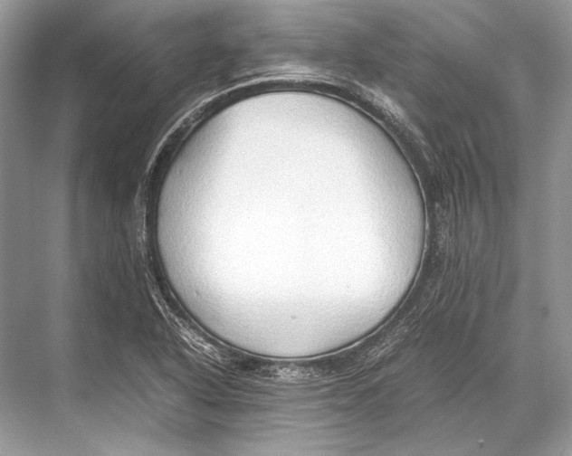 X0000067831318200605041613