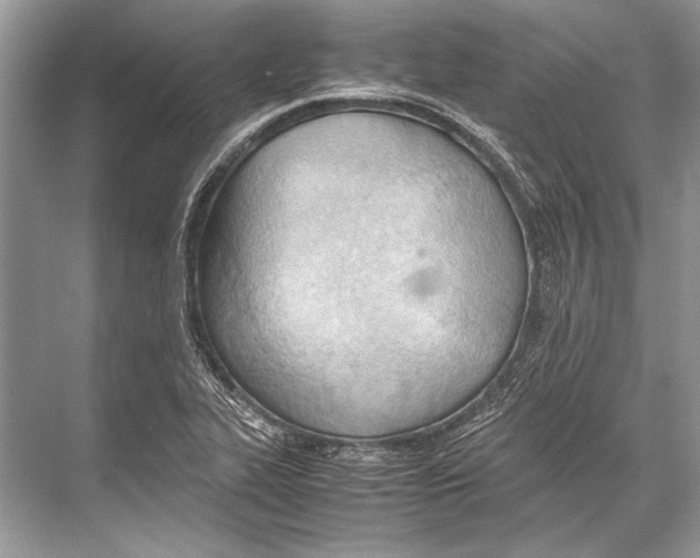 X0000067831319200605041613