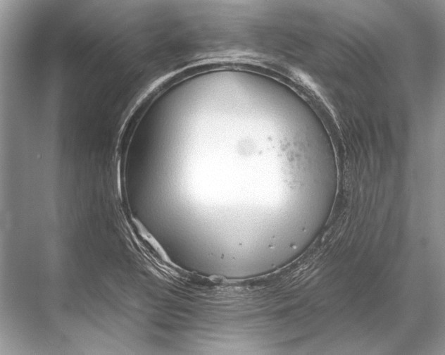 X0000067831320200605041613