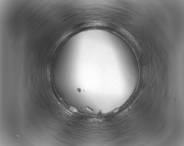 X0000067831321200605041613