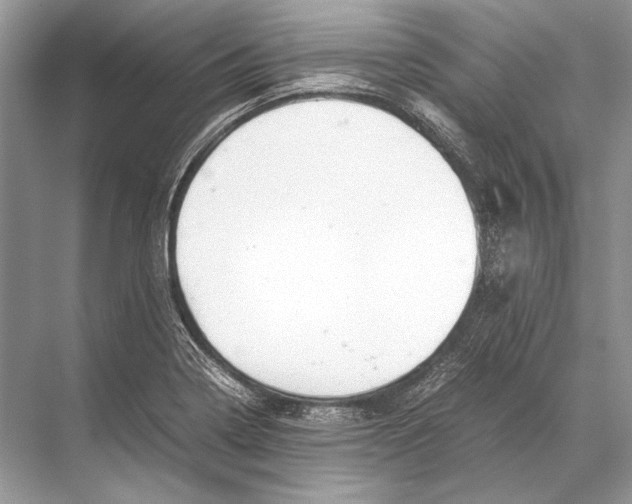 X0000067831322200605041613