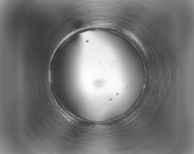 X0000067831324200605041613