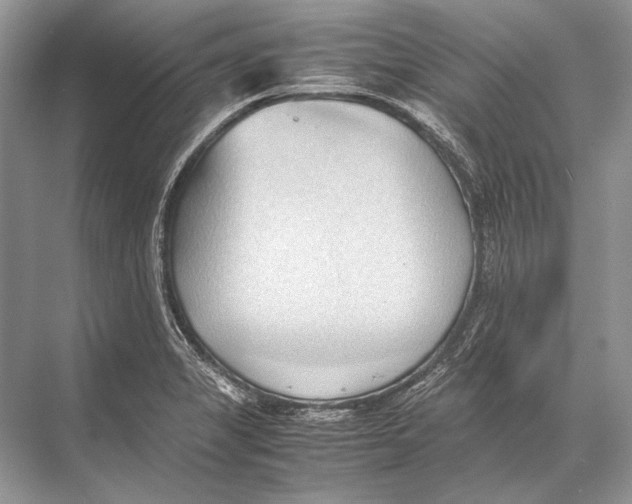 X0000067831325200605041613