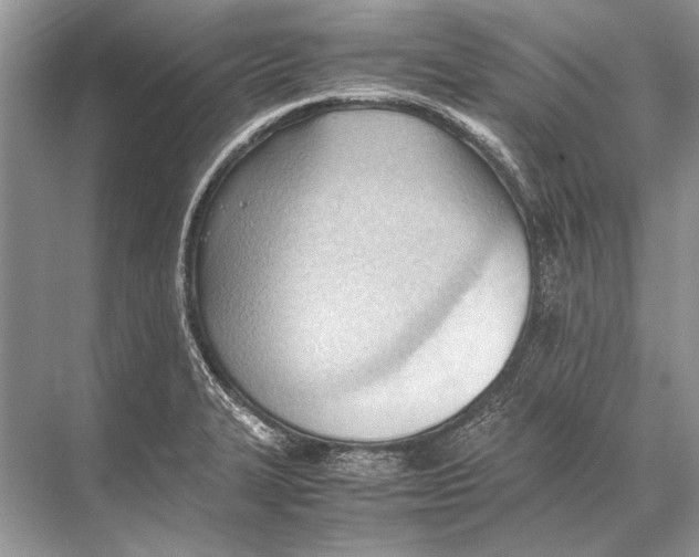 X0000067831327200605041613