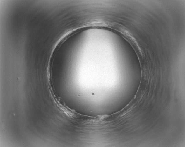 X0000067831328200605041613