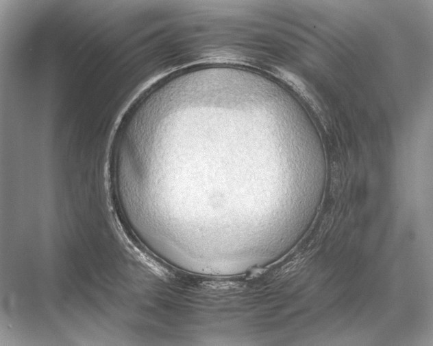 X0000067831331200605041613