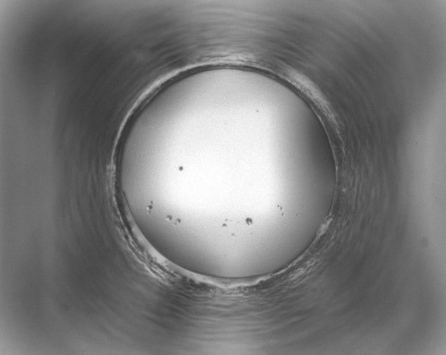 X0000067831332200605041613