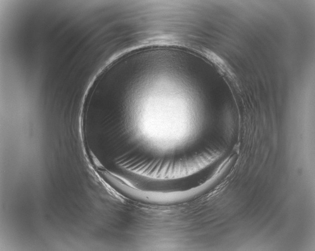 X0000067831334200605041613