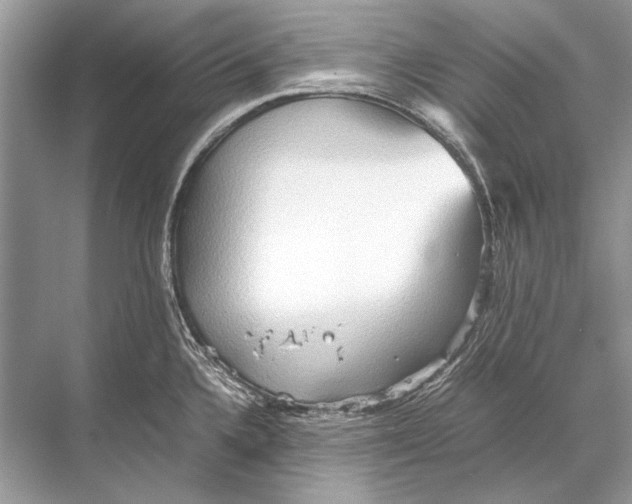 X0000067831336200605041613