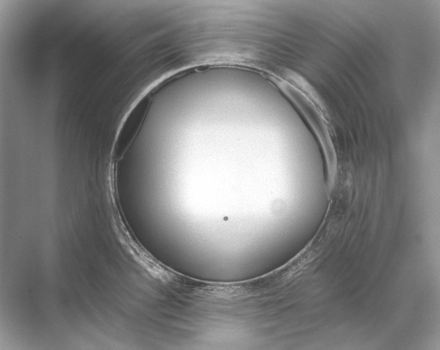 X0000067831340200605041614