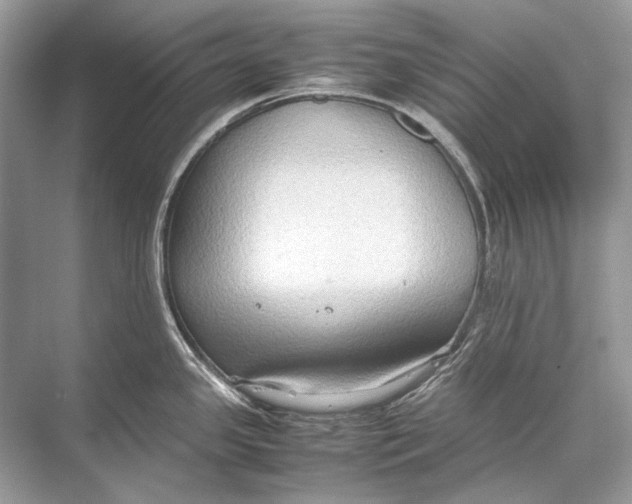 X0000067831341200605041614