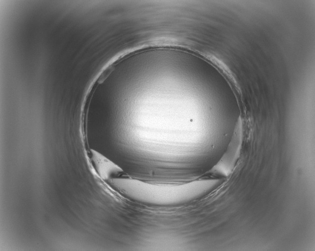 X0000067831342200605041614