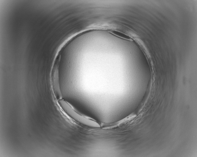 X0000067831344200605041614