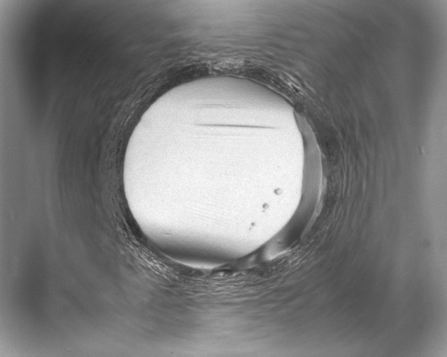 X0000067831345200605041613