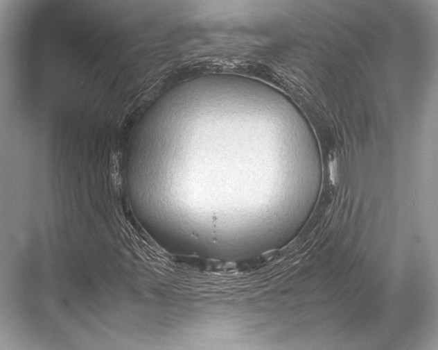 X0000067831347200605041613