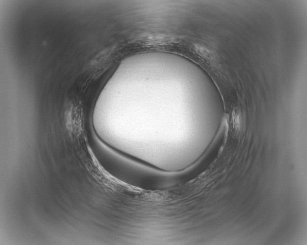 X0000067831348200605041613