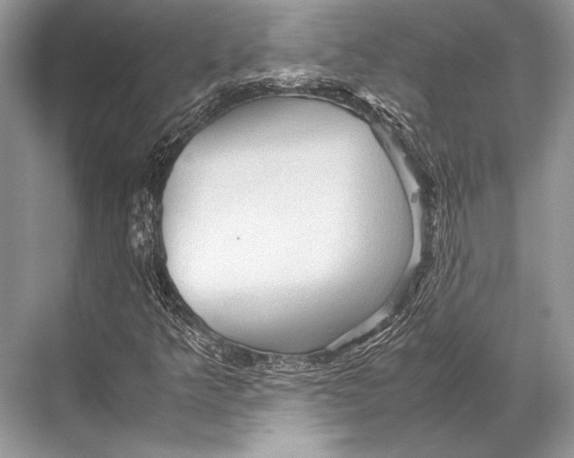 X0000067831349200605041613