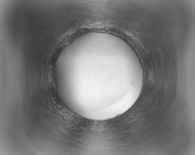 X0000067831350200605041613