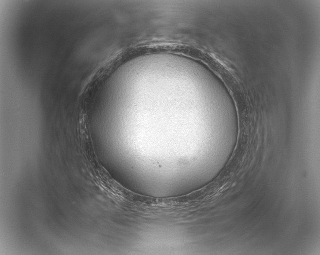 X0000067831351200605041613