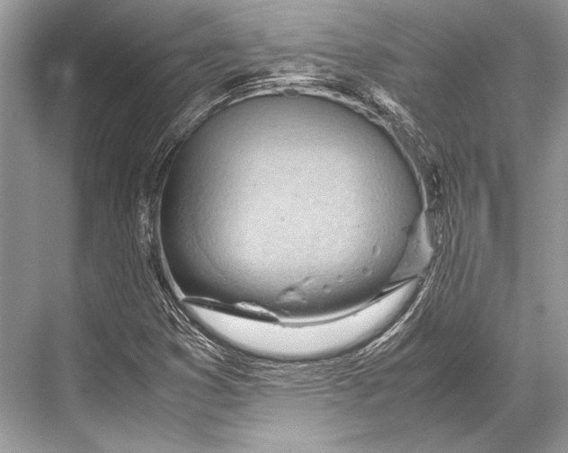 X0000067831353200605041613