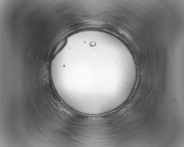 X0000067831354200605041613