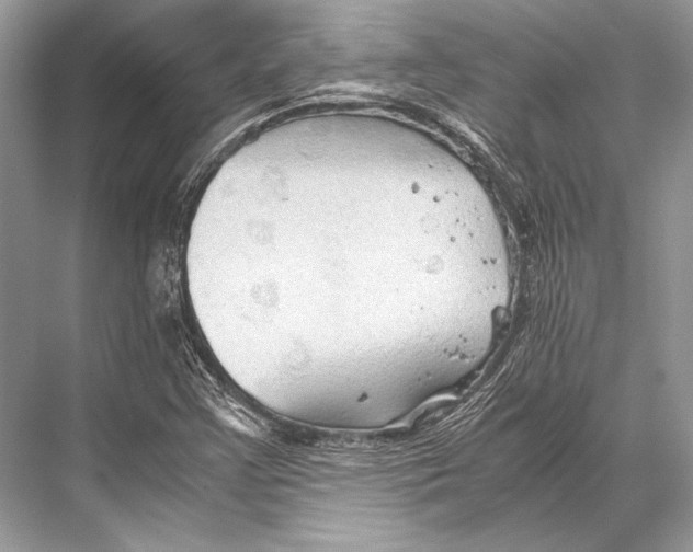 X0000067831355200605041613