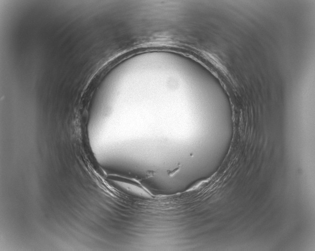 X0000067831356200605041613