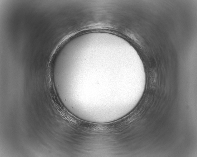 X0000067831358200605041613